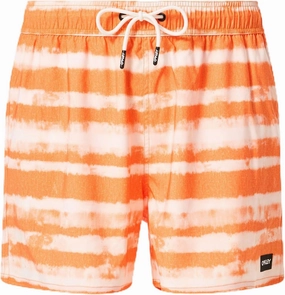 Oakley Men's Blur Stripes Recycled 16" Beachshort