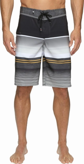 Quiksilver Men's Everyday Stripe Vee 21 Boardshort