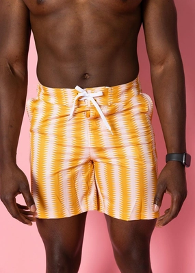 Vintage Triangles | Men's Swim Trunks